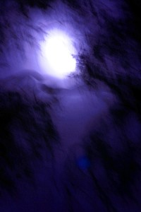 Midnight Moon Photo by Sue Kohler